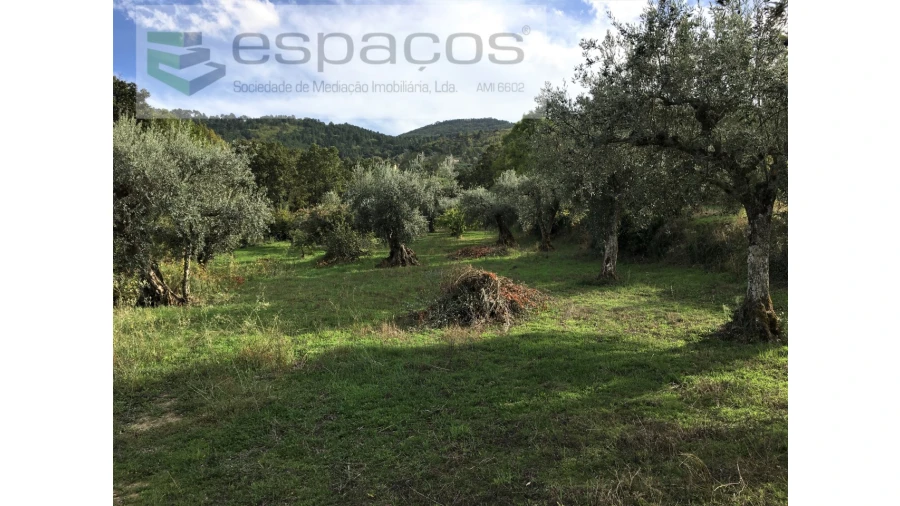 Terreno para Venda em Fundão, Valverde, Donas, A. Joanes, A. Nova Cabo Foto 18