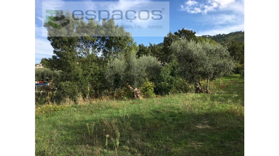 Terreno para Venda em Fundão, Valverde, Donas, A. Joanes, A. Nova Cabo Foto 19