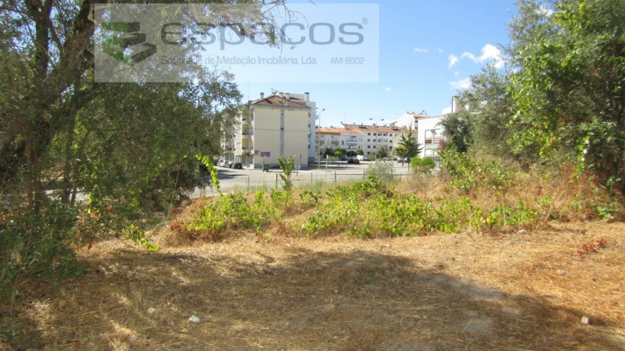 Terreno para Venda em Alcains Foto 4