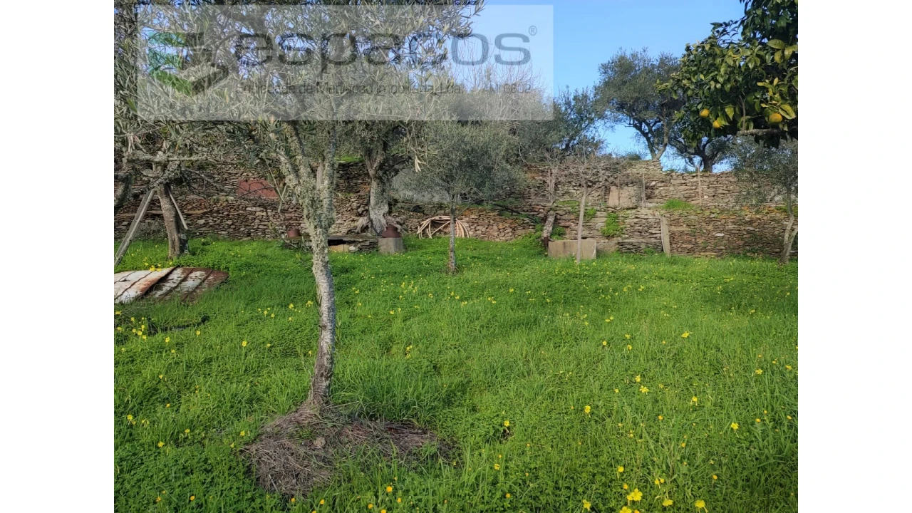 Terreno Agricola ou Rústico para Venda em Perais Foto 12