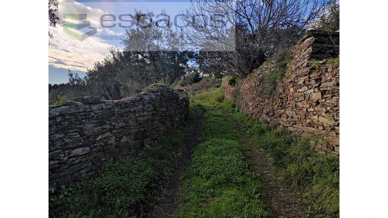Terreno Agricola ou Rústico para Venda em Perais Foto 15