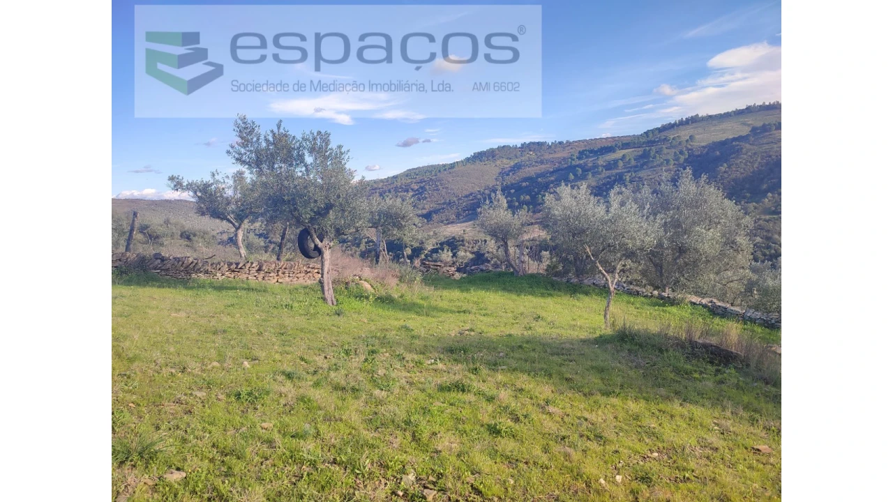 Terreno Agricola ou Rústico para Venda em Perais Foto 16