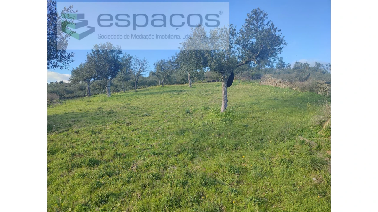 Terreno Agricola ou Rústico para Venda em Perais Foto 17