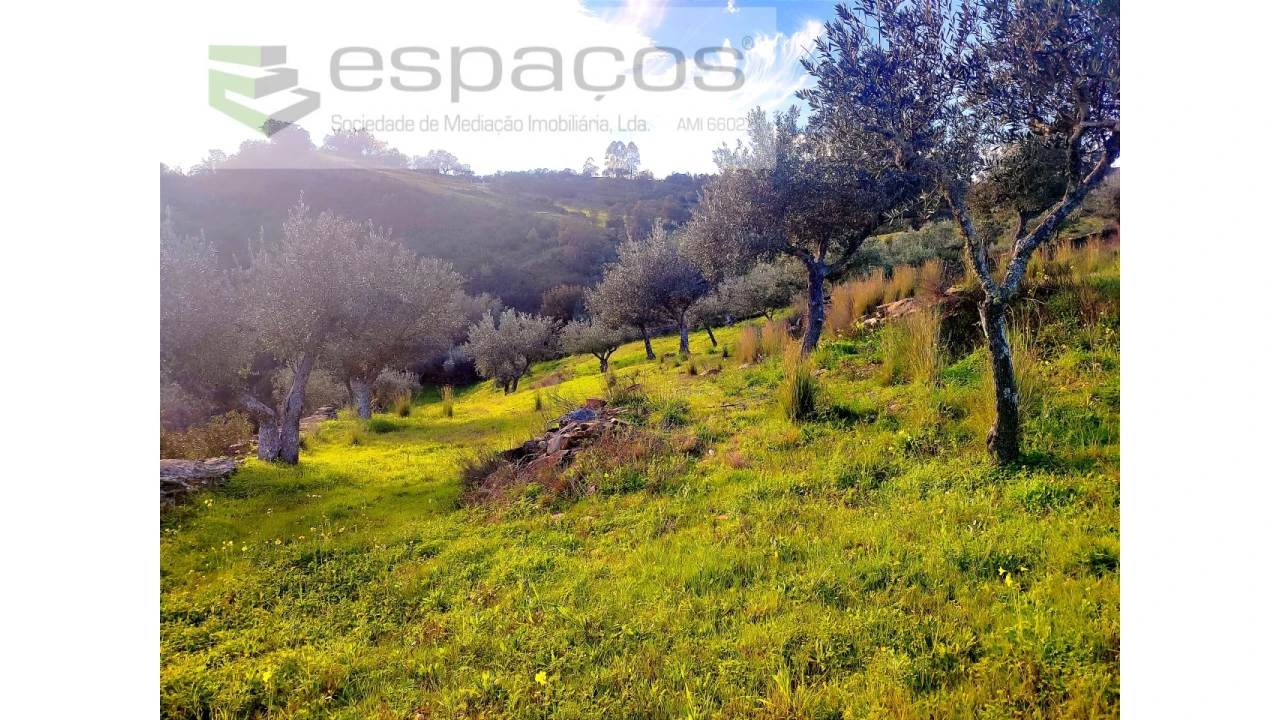 Terreno Agricola ou Rústico para Venda em Perais Foto 20