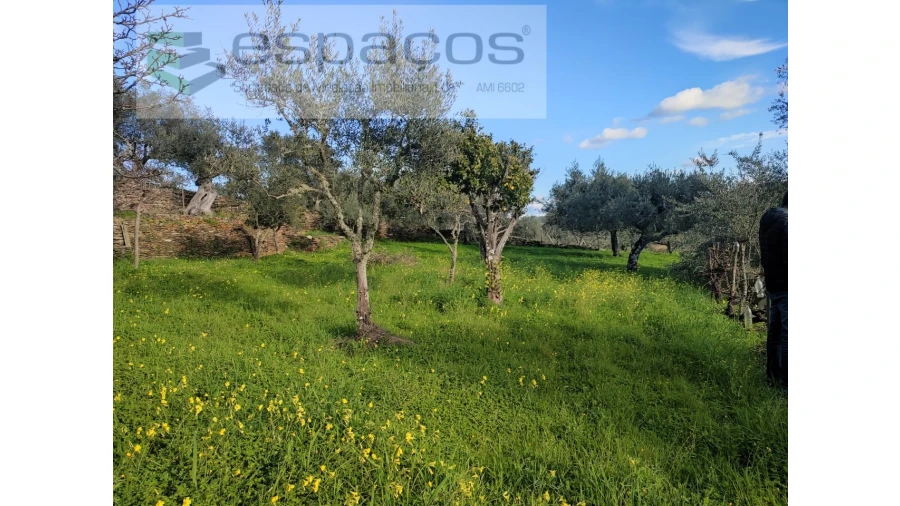 Terreno Agricola ou Rústico para Venda em Perais Foto 10