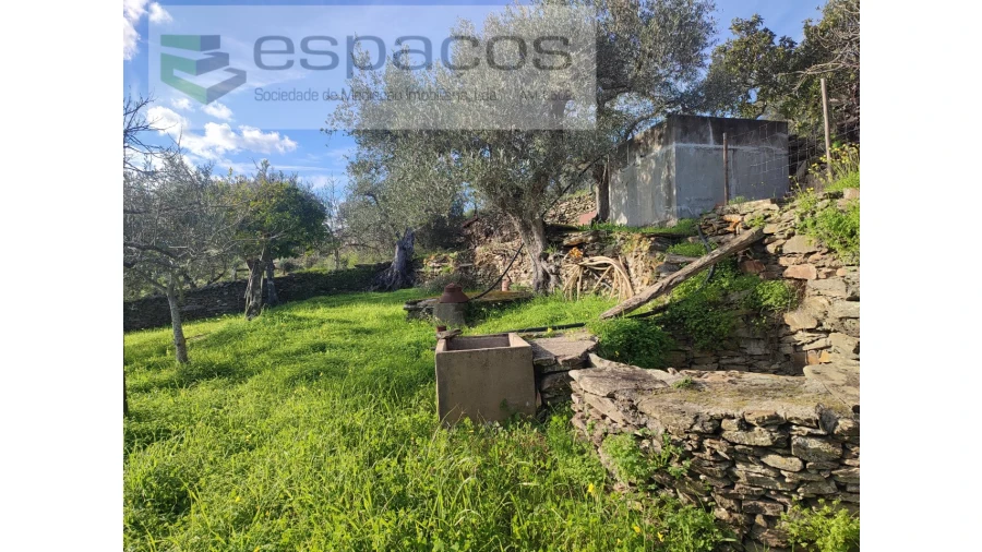Terreno Agricola ou Rústico para Venda em Perais Foto 3