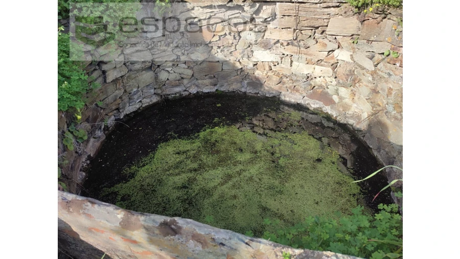 Terreno Agricola ou Rústico para Venda em Perais Foto 11