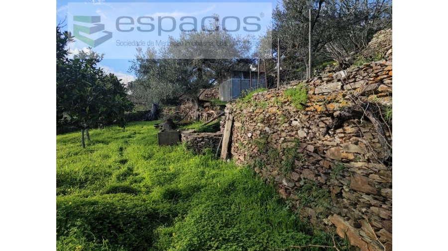 Terreno Agricola ou Rústico para Venda em Perais Foto 13