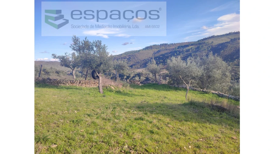 Terreno Agricola ou Rústico para Venda em Perais Foto 16