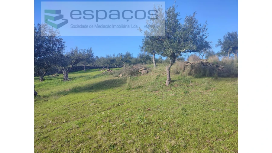 Terreno Agricola ou Rústico para Venda em Perais Foto 18