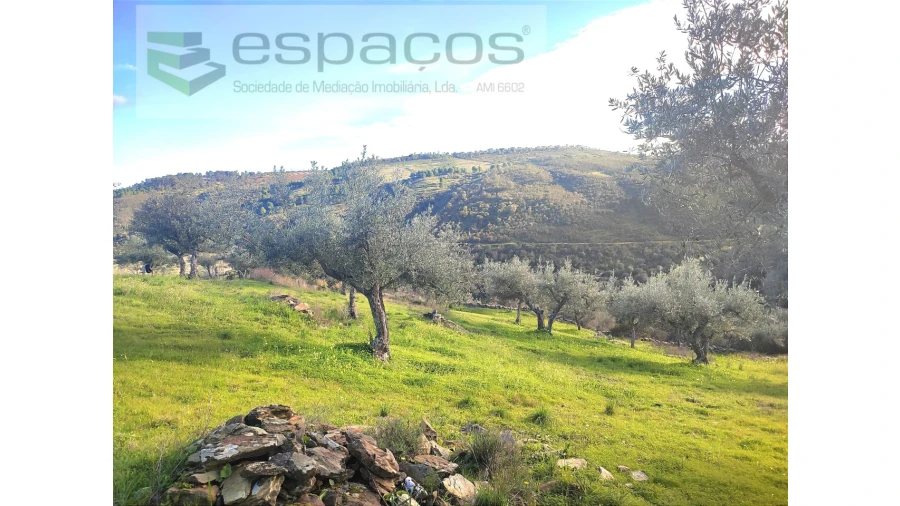 Terreno Agricola ou Rústico para Venda em Perais Foto 2