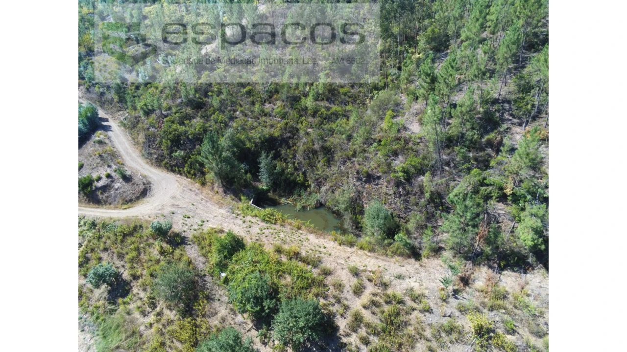 Quinta T8 para Venda em Cambas Foto 8