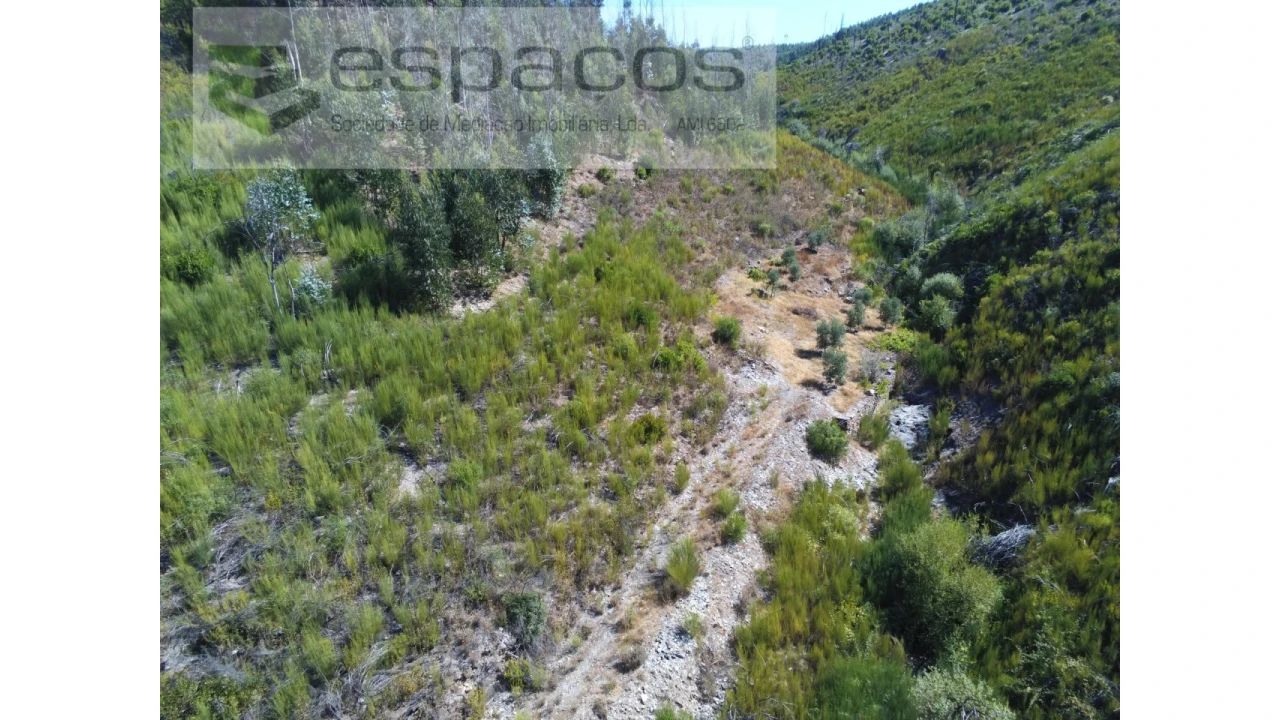 Quinta T8 para Venda em Cambas Foto 9