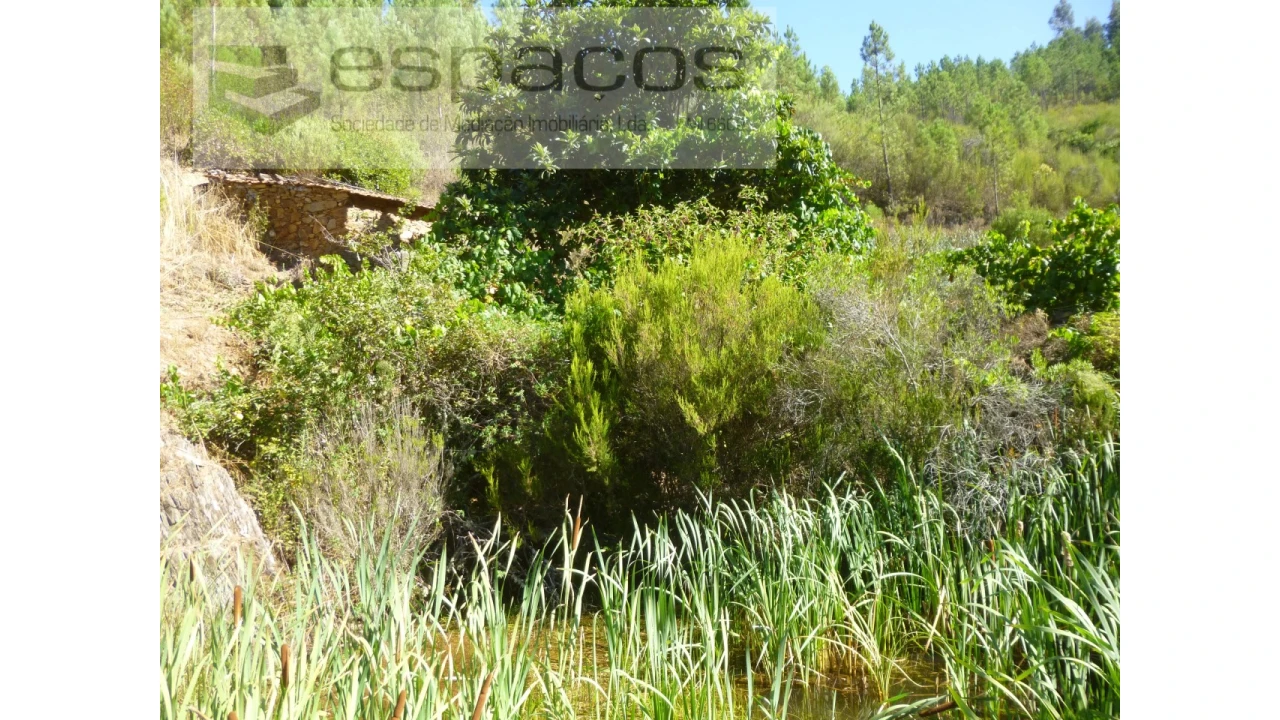 Quinta T8 para Venda em Cambas Foto 19