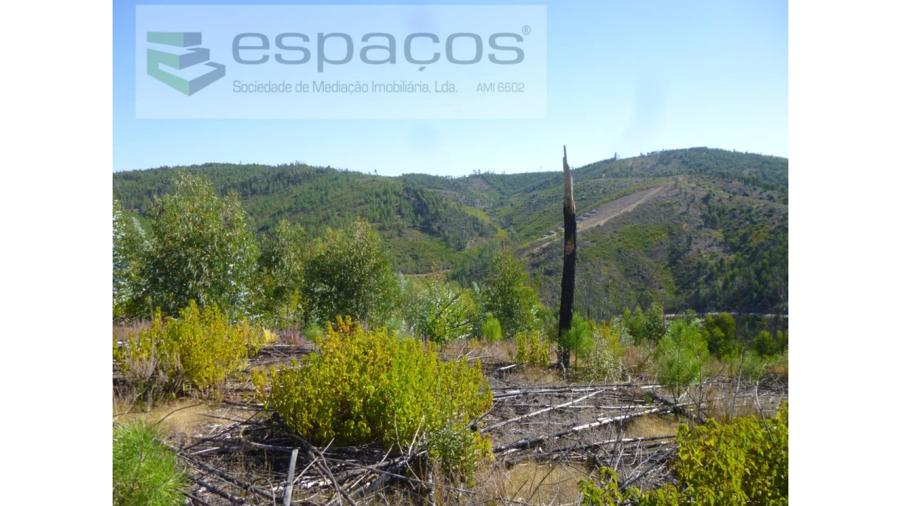 Quinta T8 para Venda em Cambas Foto 26