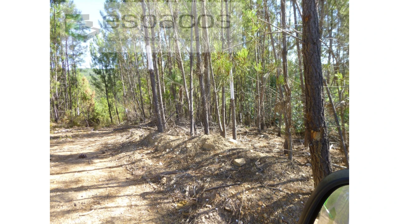 Quinta T8 para Venda em Cambas Foto 27