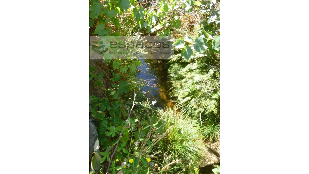 Quinta T8 para Venda em Cambas Foto 28