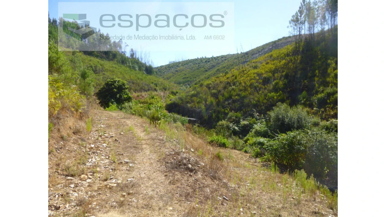 Quinta T8 para Venda em Cambas Foto 29