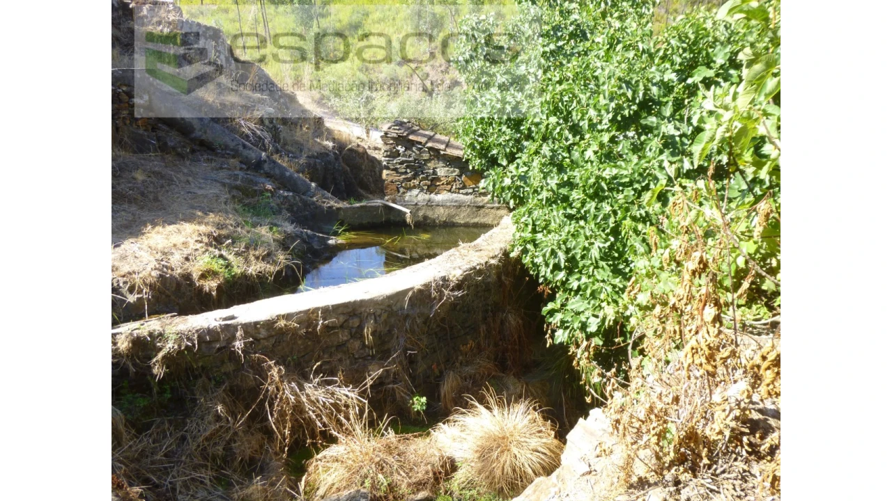 Quinta T8 para Venda em Cambas Foto 39