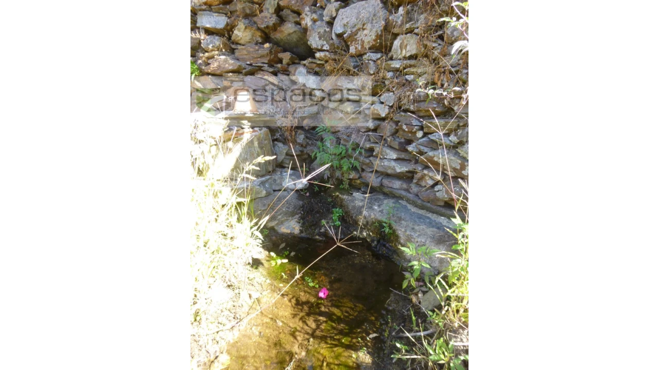 Quinta T8 para Venda em Cambas Foto 40