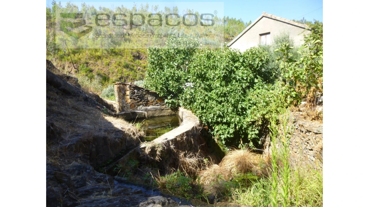 Quinta T8 para Venda em Cambas Foto 41