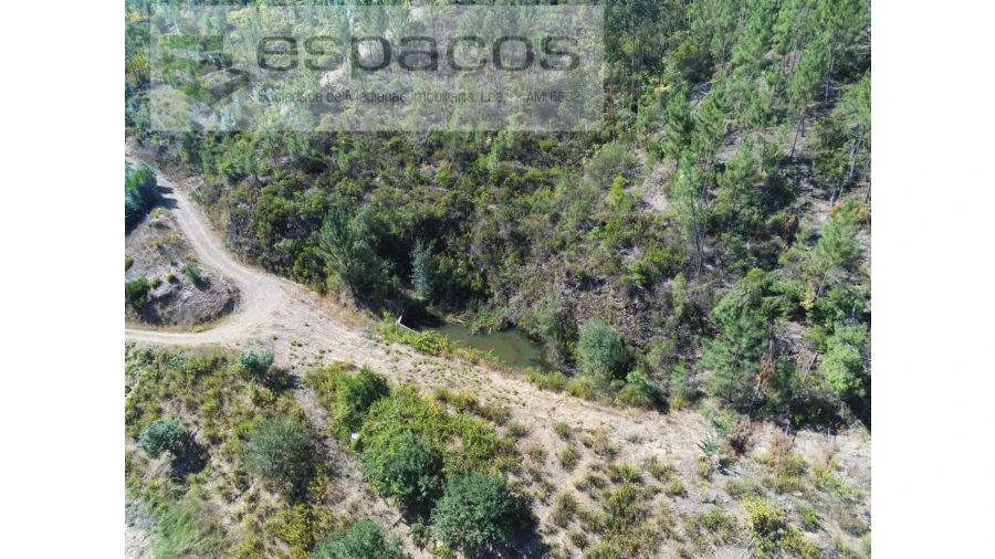 Quinta T8 para Venda em Cambas Foto 8