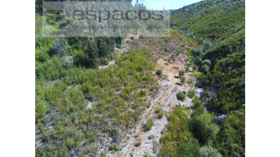 Quinta T8 para Venda em Cambas Foto 9