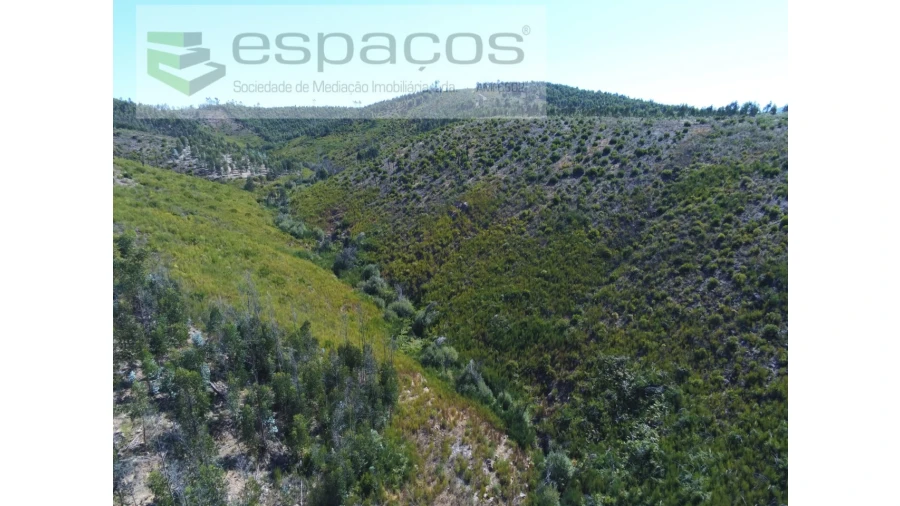 Quinta T8 para Venda em Cambas Foto 12