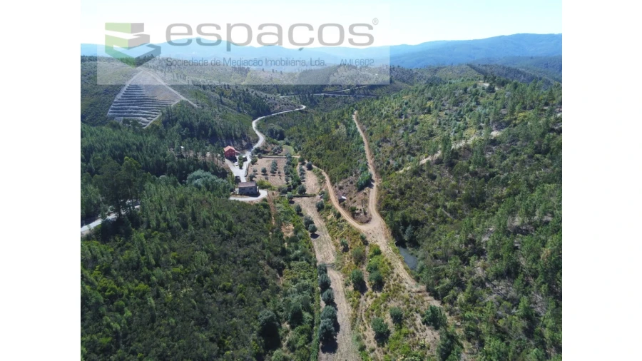 Quinta T8 para Venda em Cambas Foto 13