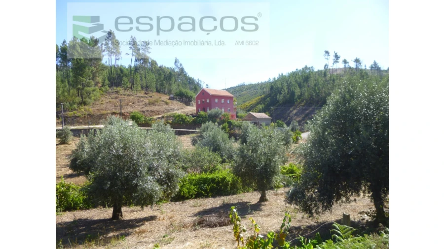 Quinta T8 para Venda em Cambas Foto 14