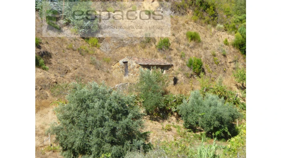 Quinta T8 para Venda em Cambas Foto 15