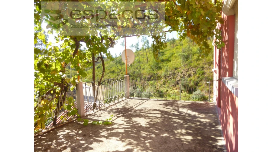 Quinta T8 para Venda em Cambas Foto 17