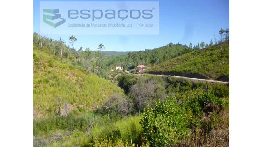 Quinta T8 para Venda em Cambas Foto 22