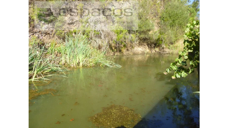 Quinta T8 para Venda em Cambas Foto 23