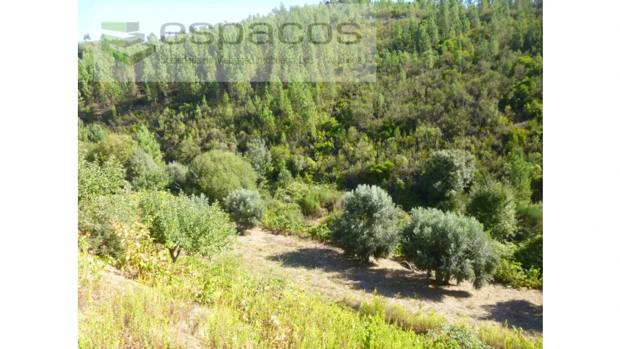 Quinta T8 para Venda em Cambas Foto 25