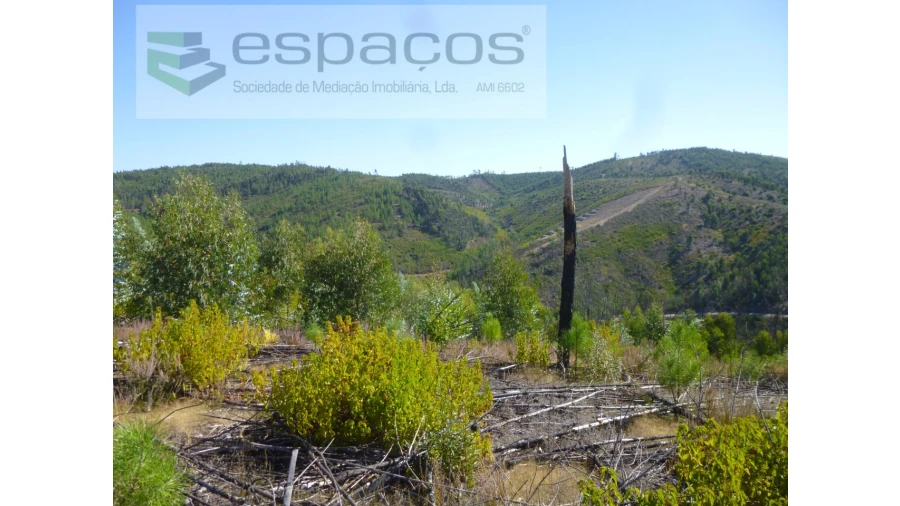 Quinta T8 para Venda em Cambas Foto 26