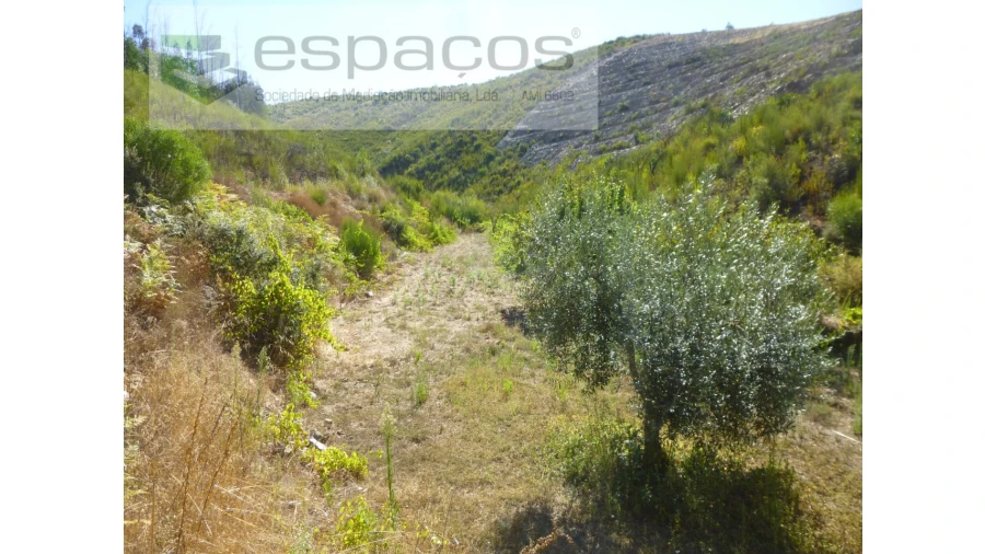 Quinta T8 para Venda em Cambas Foto 30