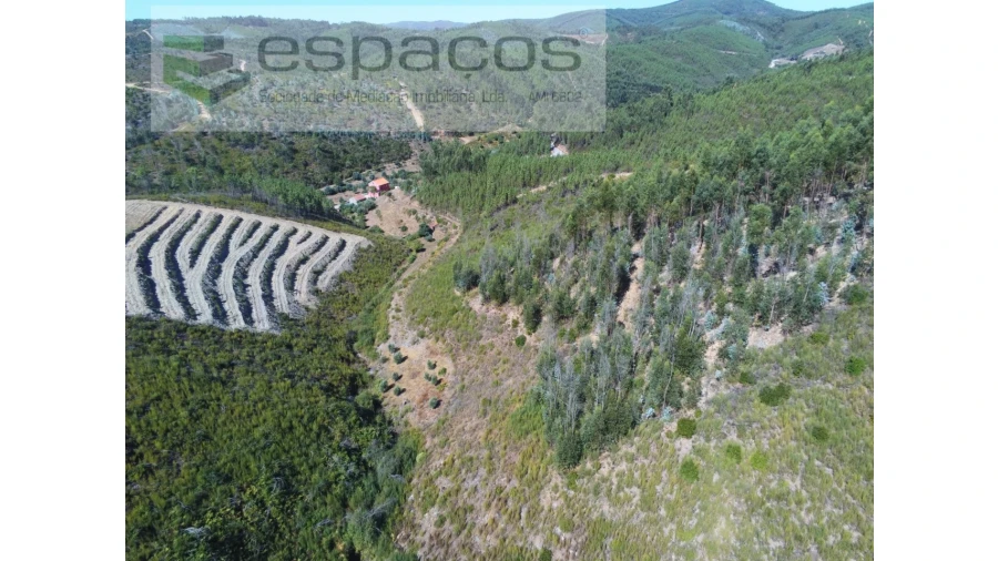 Quinta T8 para Venda em Cambas Foto 64