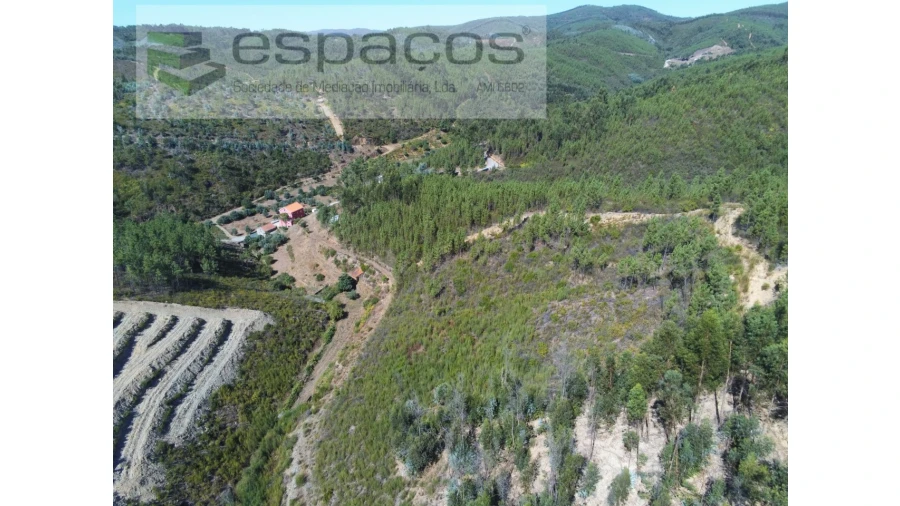 Quinta T8 para Venda em Cambas Foto 65