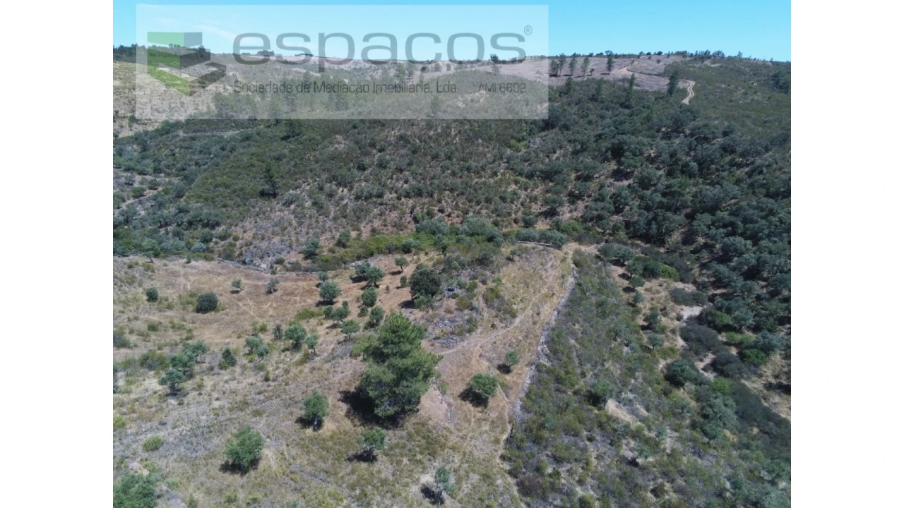 Terreno Agricola ou Rústico para Venda em Perais Foto 7