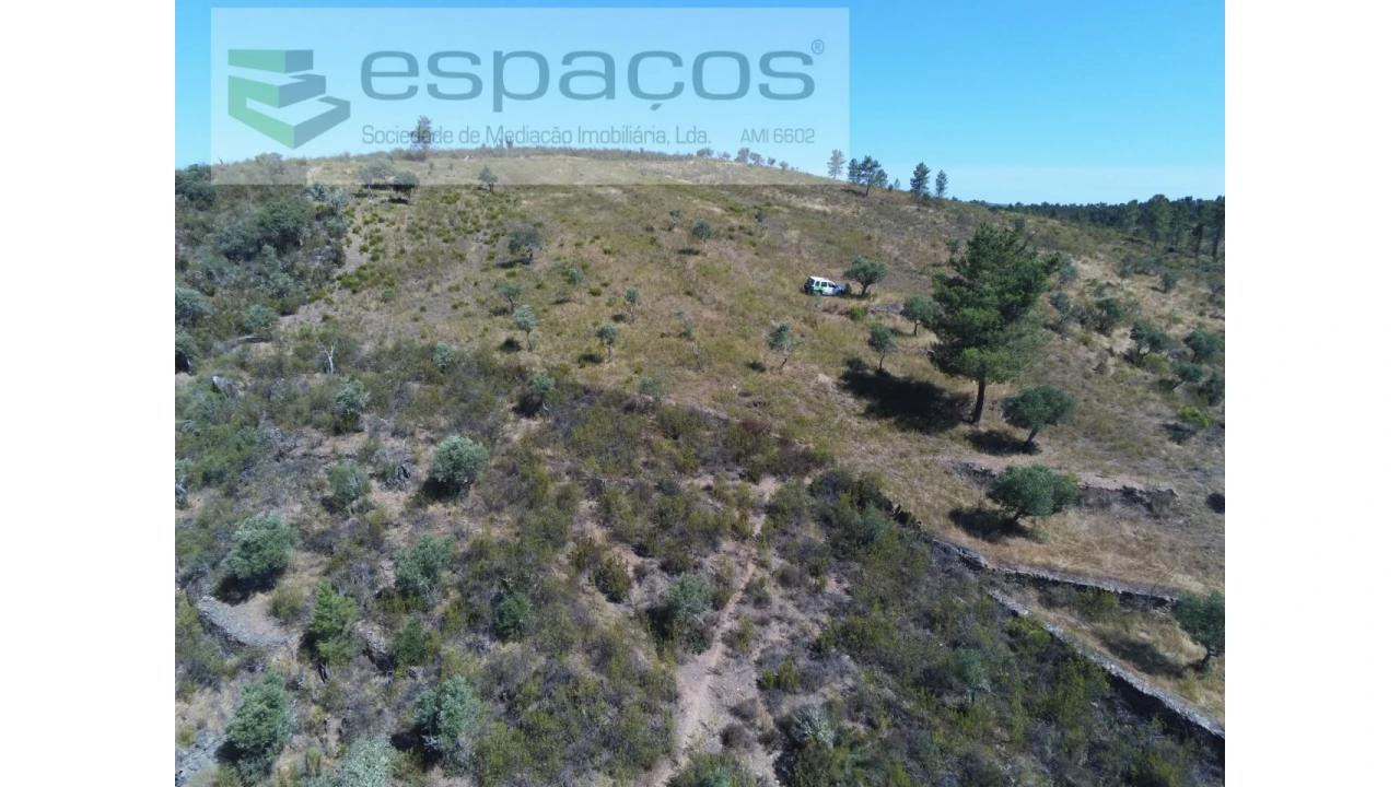 Terreno Agricola ou Rústico para Venda em Perais Foto 6