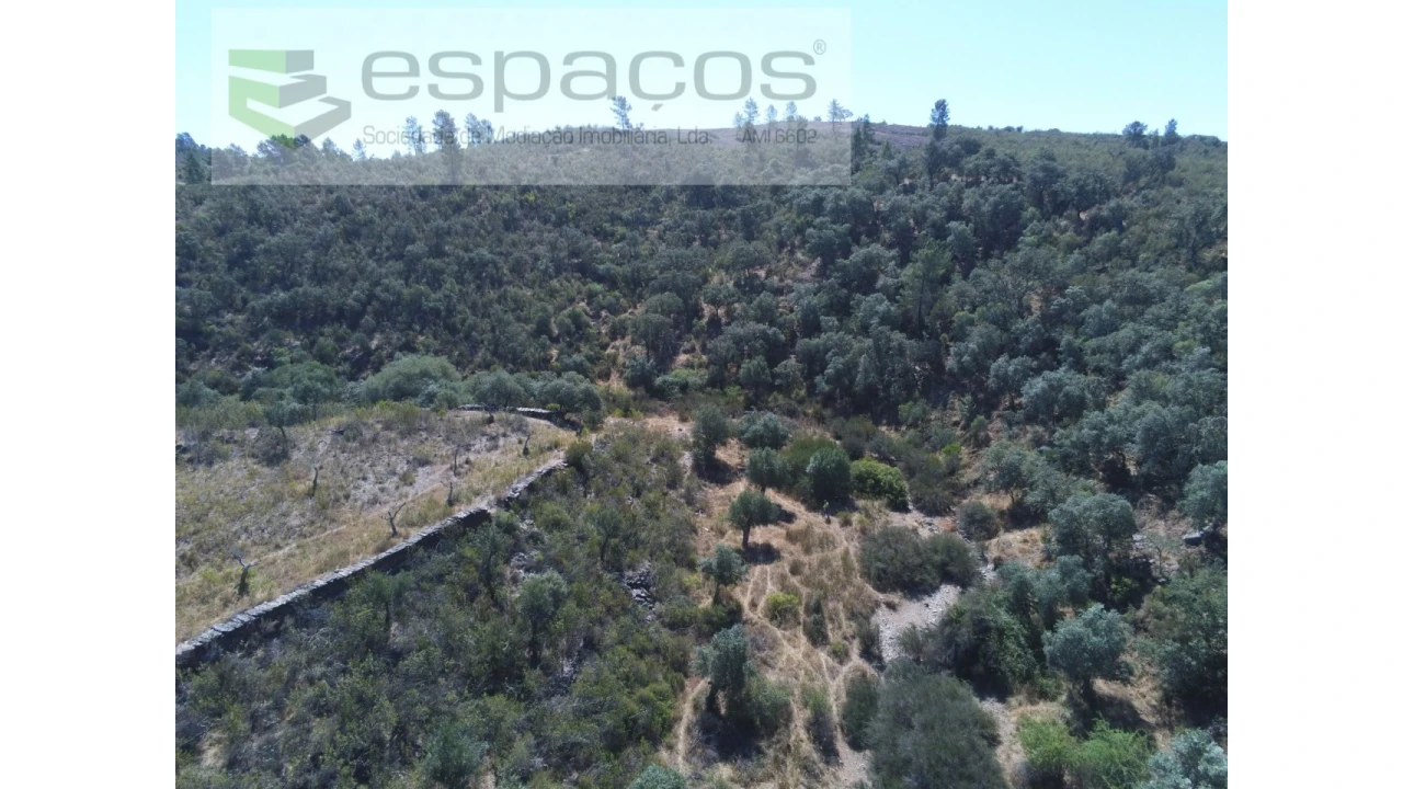 Terreno Agricola ou Rústico para Venda em Perais Foto 5