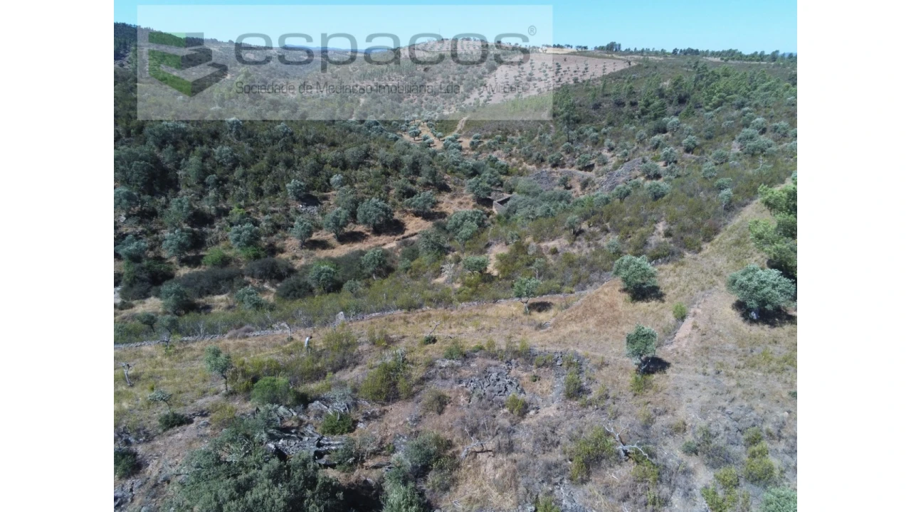 Terreno Agricola ou Rústico para Venda em Perais Foto 8