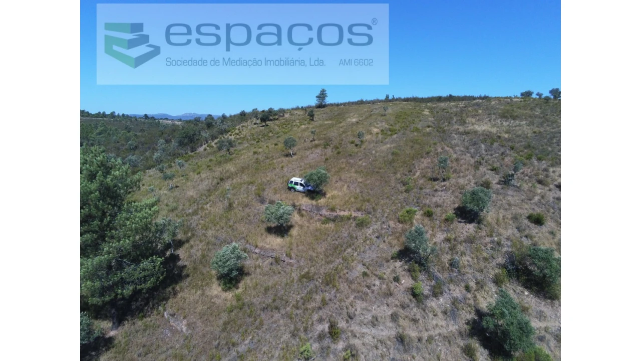 Terreno Agricola ou Rústico para Venda em Perais Foto 11