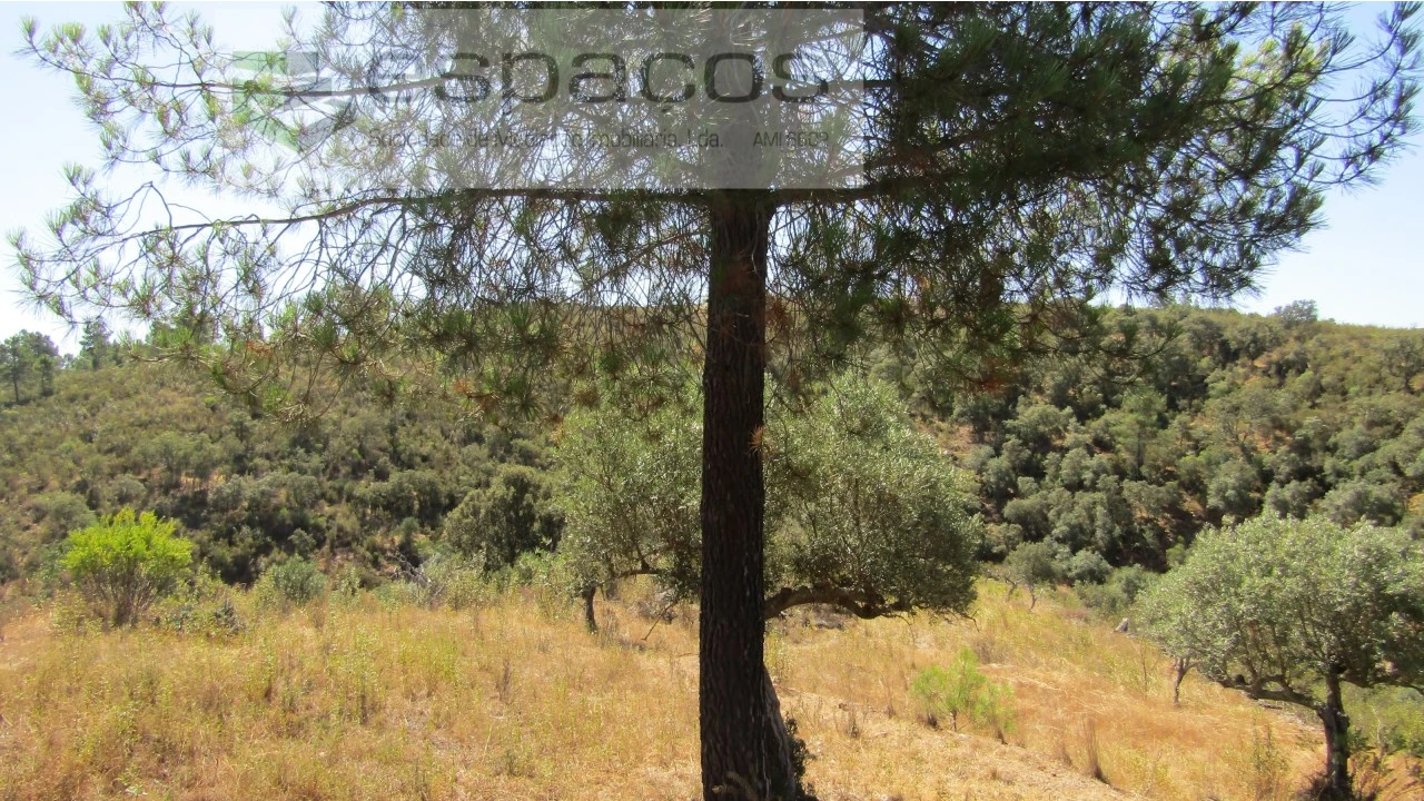 Terreno Agricola ou Rústico para Venda em Perais Foto 14