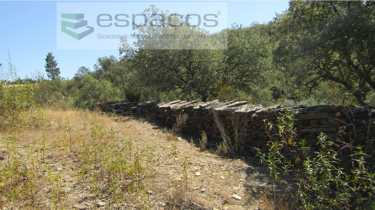 Terreno Agricola ou Rústico para Venda em Perais Foto 17