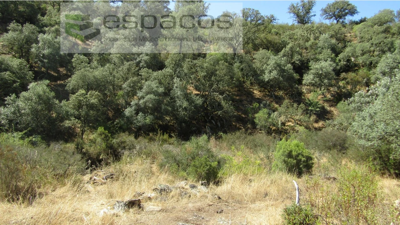 Terreno Agricola ou Rústico para Venda em Perais Foto 18