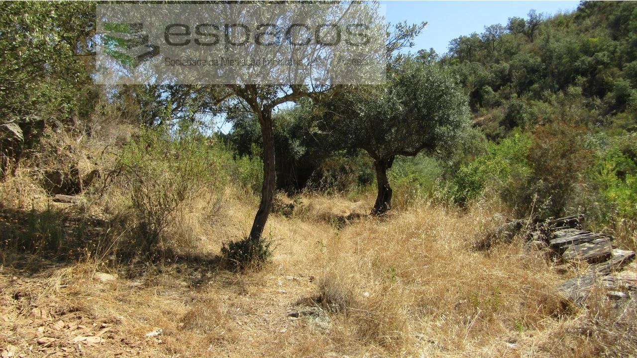 Terreno Agricola ou Rústico para Venda em Perais Foto 19