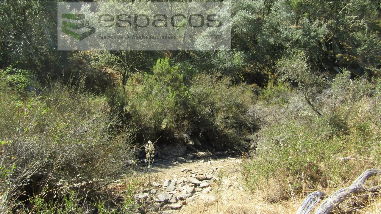 Terreno Agricola ou Rústico para Venda em Perais Foto 20