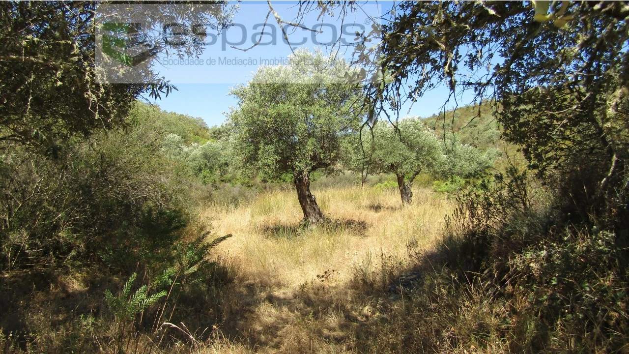 Terreno Agricola ou Rústico para Venda em Perais Foto 1